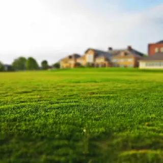 Gdzie kosiarką nie możesz...tam podcinarkę poślesz!